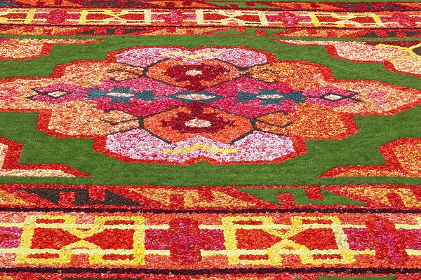 Belgium, Brussels, Grand Place, Flower Carpet Festival, Flower Pattern