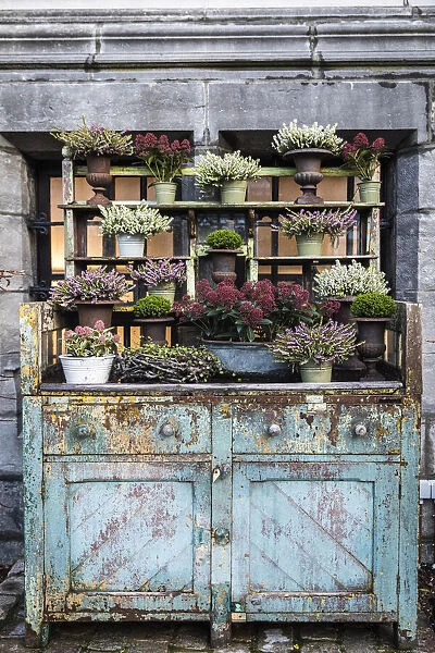 Belgium, Flanders, Ghent, Dried flowers decoration in Graslei