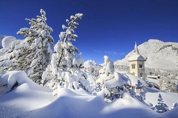 The bell tower submerged by snow surrounded by woods Maloja Canton of GraubA Aonden