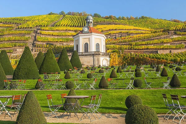 Belvedere and Garden of Wackerbarth Castle, in the back vineyards in autumn