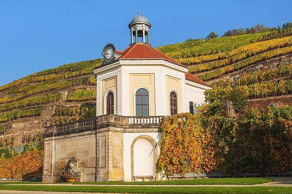 Belvedere of Wackerbarth Castle, in the back vineyards in autumn, saxon wine route