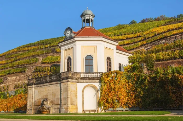 Framed Print : Belvedere of Wackerbarth Castle, in the back vineyards in autumn, saxon wine route Framed Print : Belvedere of Wackerbarth Castle, in the back vineyards in autumn, saxon wine route