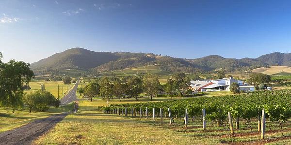 Ben Ean Wine Estate, Hunter Valley, New South Wales, Australia
