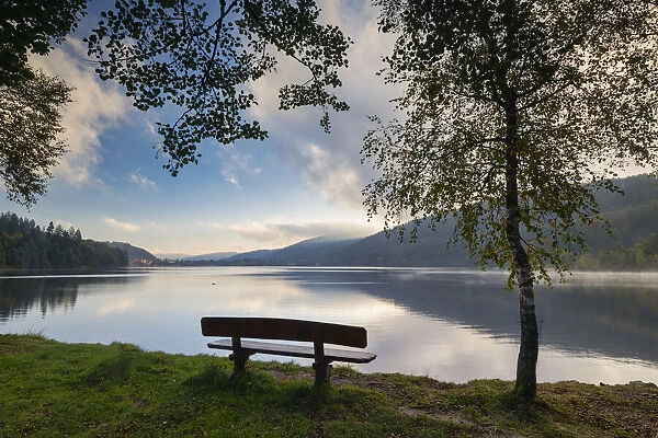 Bench overlooking Lake Titisee, Baden-Wurttemberg, Schwarzwald, Black Forest, Germany