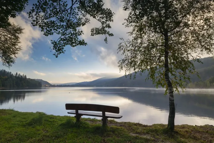 Framed Print : Bench overlooking Lake Titisee, Baden-Wurttemberg, Schwarzwald, Black Forest, Germany Framed Print : Bench overlooking Lake Titisee, Baden-Wurttemberg, Schwarzwald, Black Forest, Germany