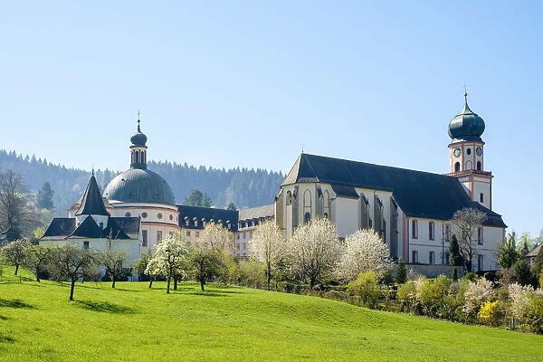 Benedictine Monastery of Saint Trudpert (Kloster Sankt Trudpert) in early Spring