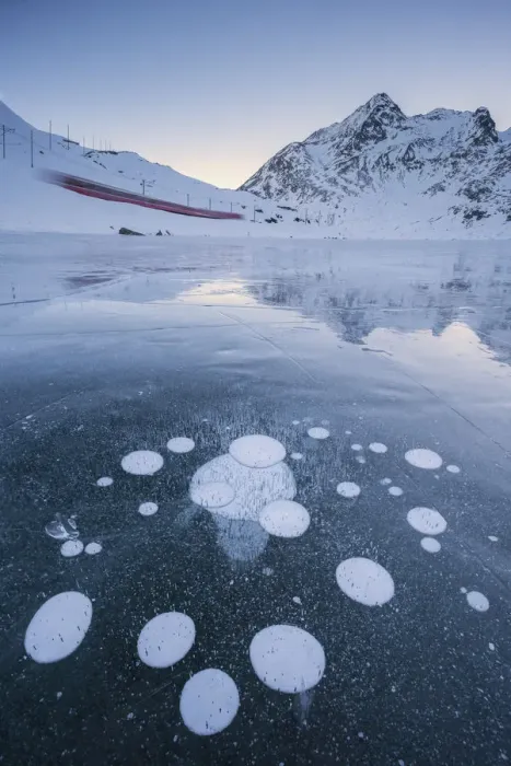 Framed Print : The Bernina Express train runs along the frozen Lake Bianco, Bernina Pass with some bubbles Framed Print : The Bernina Express train runs along the frozen Lake Bianco, Bernina Pass with some bubbles