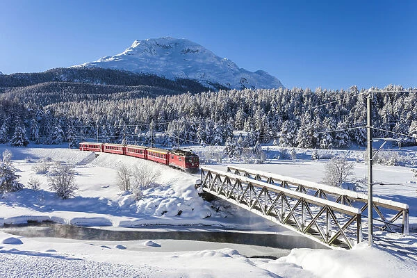 Bernina Express train in the snowy landscape, Pontresina, Engadine, canton of Graubunden