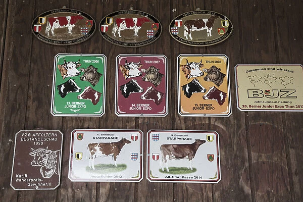 Best cow awards on the wall of a cowshed, Emmental Valley, Berner Oberland, Switzerland