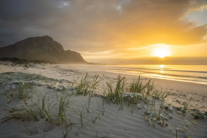 Framed Print : Bettys Bay Beach, Western Cape, South Africa Framed Print : Bettys Bay Beach, Western Cape, South Africa