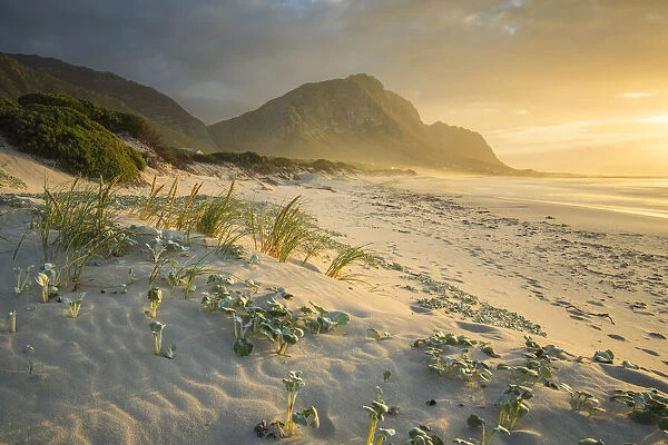 Bettys Bay Beach, Western Cape, South Africa