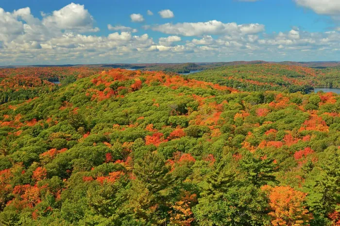 Framed Print : Biew of mixedwood forest in autumn colors as seen from the top of the Dorset fire tower Dorset, Ontario, Canada Framed Print : Biew of mixedwood forest in autumn colors as seen from the top of the Dorset fire tower Dorset, Ontario, Canada