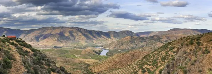 Framed Print : Big areas of olive groves surround Barca d Alva, near the Douro river and Agueda river Framed Print : Big areas of olive groves surround Barca d Alva, near the Douro river and Agueda river
