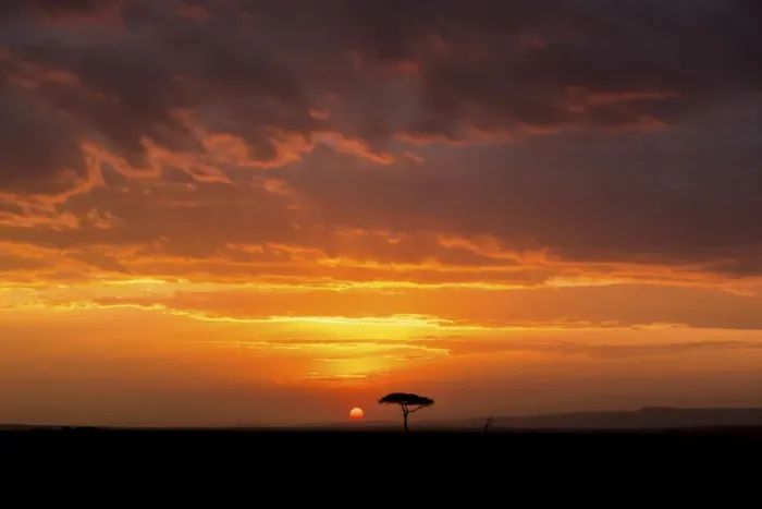 Framed Print : Big sky unrise with acacia tree, Serengeti, Tanzania, Africa Framed Print : Big sky unrise with acacia tree, Serengeti, Tanzania, Africa