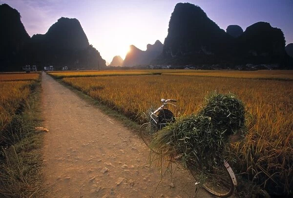 Bike and Ricefield, Yangshuo, Guangxi, China