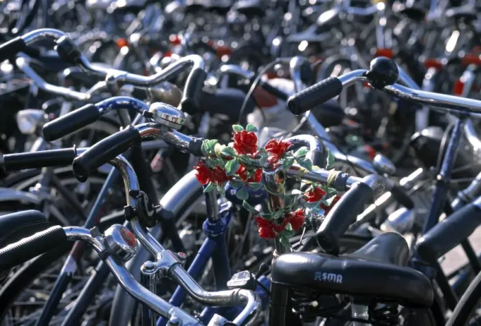 Framed Print : Bikes, Leiden Framed Print : Bikes, Leiden