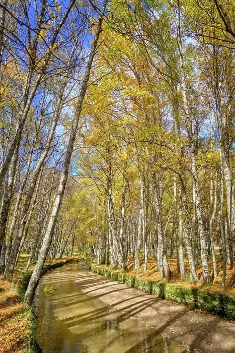 Framed Print : Birch trees and the Zezere river at Covao da Ametade in Autumn. Manteigas, Serra da Estrela Nature Park. Portugal Framed Print : Birch trees and the Zezere river at Covao da Ametade in Autumn. Manteigas, Serra da Estrela Nature Park. Portugal
