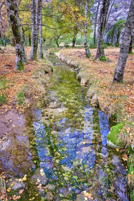 Framed Print : Birch trees and the Zezere river at Covao da Ametade in Autumn. Manteigas, Serra da Estrela Nature Park. Portugal Framed Print : Birch trees and the Zezere river at Covao da Ametade in Autumn. Manteigas, Serra da Estrela Nature Park. Portugal
