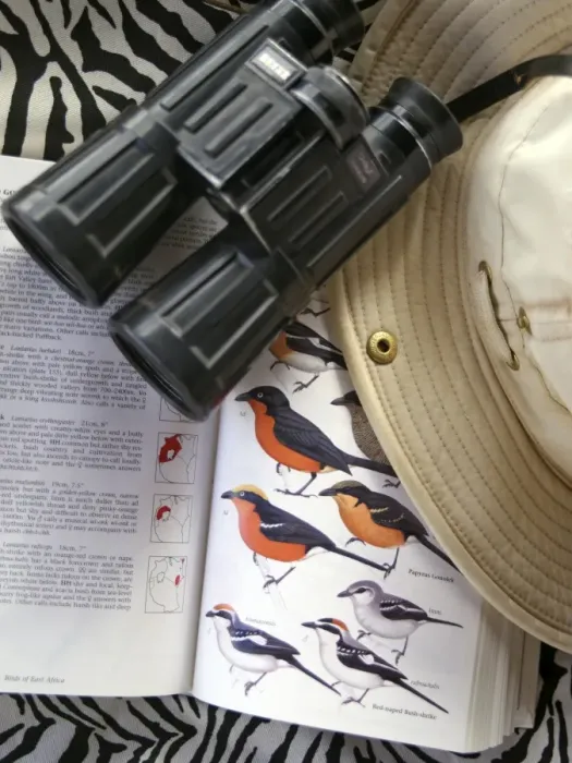 Framed Print : Bird book, binoculars and safari hat Framed Print : Bird book, binoculars and safari hat
