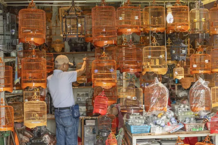 Framed Print : Bird Market, Mong Kok, Kowloon, Hong Kong Framed Print : Bird Market, Mong Kok, Kowloon, Hong Kong