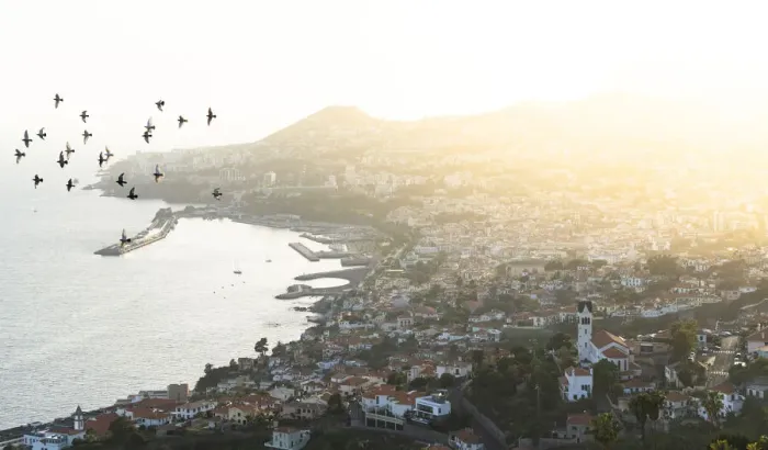 Framed Print : Birds flying over Sao Goncalo church and Funchal city at sunset, Madeira island, Portugal Framed Print : Birds flying over Sao Goncalo church and Funchal city at sunset, Madeira island, Portugal