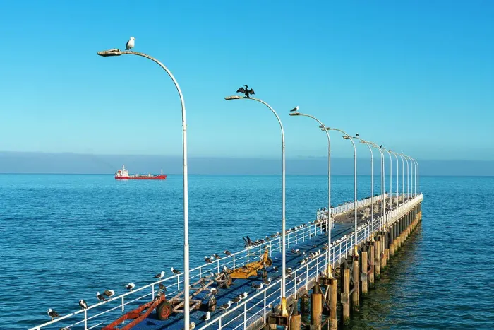 Framed Print : Birds perching on pier against blue sky at Caleta Portales, Valparaiso, Valparaiso Province, Valparaiso Region, Chile Framed Print : Birds perching on pier against blue sky at Caleta Portales, Valparaiso, Valparaiso Province, Valparaiso Region, Chile