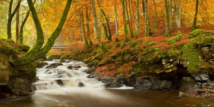 Framed Print : The Birks of Aberfeldy in Autumn, Aberfeldy, Tayside Region, Scotland
