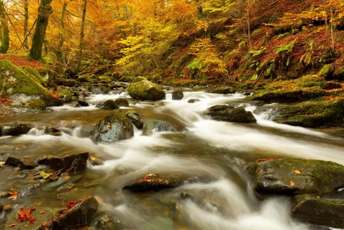 Framed Print : The Birks of Aberfeldy in Autumn, Aberfeldy, Tayside Region, Scotland Framed Print : The Birks of Aberfeldy in Autumn, Aberfeldy, Tayside Region, Scotland