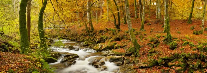 Framed Print : The Birks of Aberfeldy in Autumn, Aberfeldy, Tayside Region, Scotland Framed Print : The Birks of Aberfeldy in Autumn, Aberfeldy, Tayside Region, Scotland