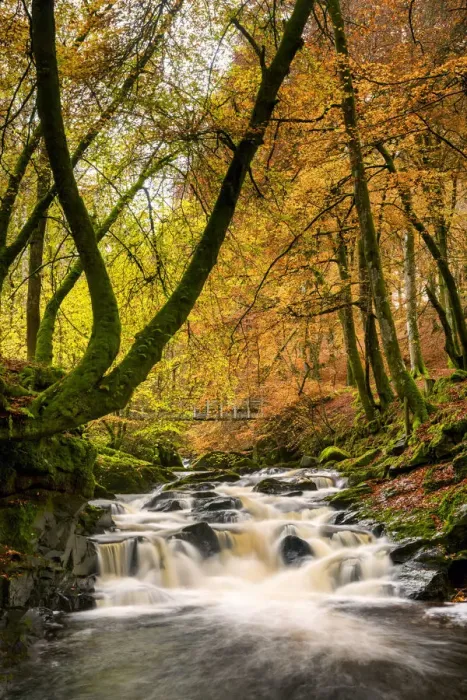 Framed Print : Birks of Aberfeldy in Autumn, Aberfeldy, Highland Perthshire, Scotland Framed Print : Birks of Aberfeldy in Autumn, Aberfeldy, Highland Perthshire, Scotland