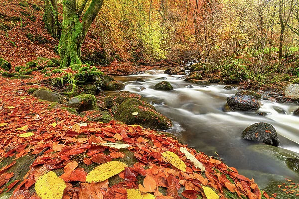 Birks of Aberfeldy in Autumn, Perthshire, Scotland
