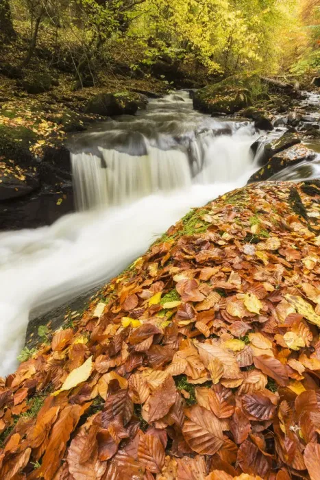 Framed Print : The Birks of Aberfeldy, Perthshire, Scotland, UK