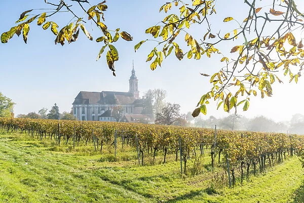 Birnau sanctuary and vineyards. Uhldingen-Muhlhofen, Baden-Wurttemberg, Germany