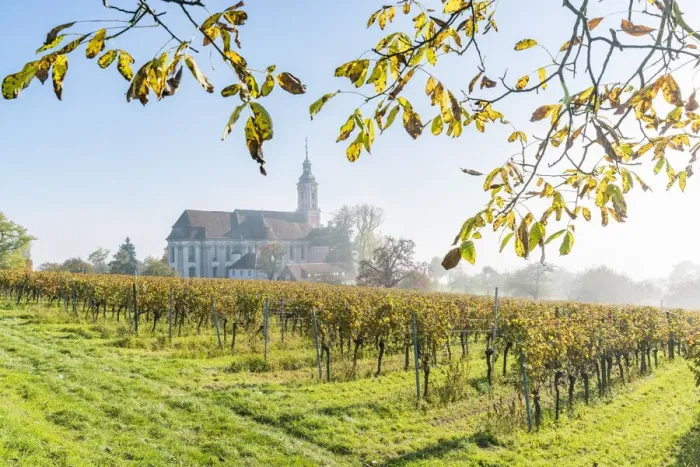 Framed Print : Birnau sanctuary and vineyards. Uhldingen-Muhlhofen, Baden-Wurttemberg, Germany Framed Print : Birnau sanctuary and vineyards. Uhldingen-Muhlhofen, Baden-Wurttemberg, Germany