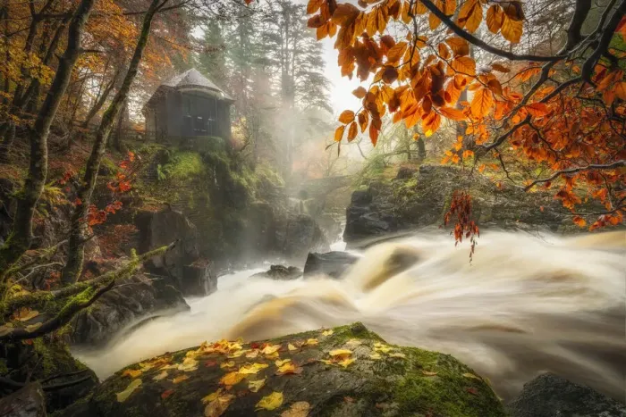 Framed Print : Black Lin Falls in autumn, The Hermitage, Dunkeld, Perthshire, Scotland, UK Framed Print : Black Lin Falls in autumn, The Hermitage, Dunkeld, Perthshire, Scotland, UK