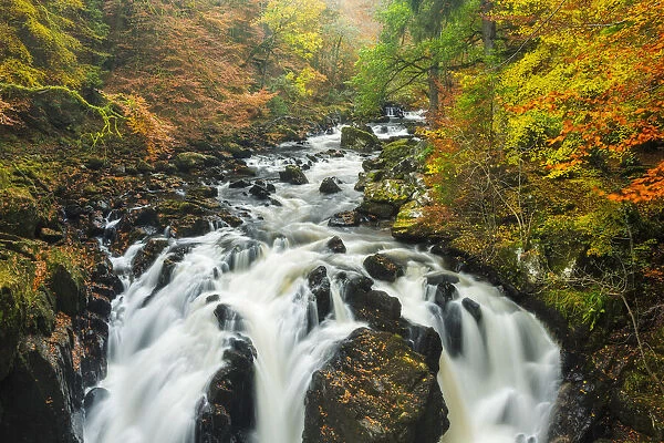 Black Linn Falls, The Hermitage, Dunkeld, Perthshire, Scotland, UK