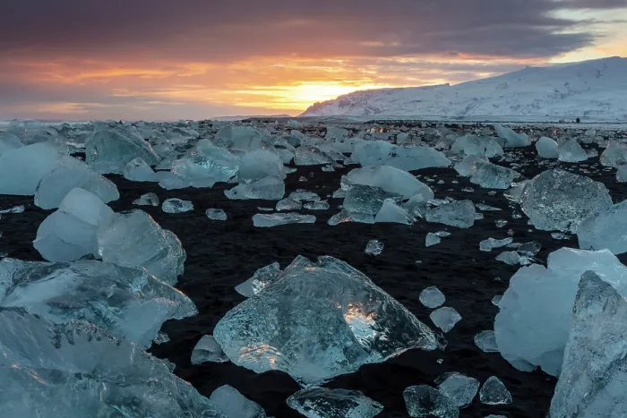Framed Print : Black volcanic sand beach covered in icebergs from Jokulsarlon glacier lagoon, at sunset, Southeast Iceland Framed Print : Black volcanic sand beach covered in icebergs from Jokulsarlon glacier lagoon, at sunset, Southeast Iceland