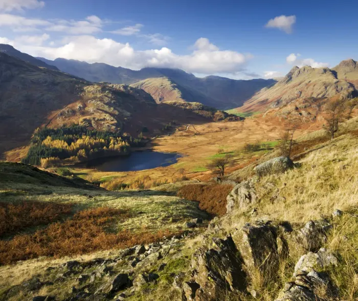 Framed Print : Blea Tarn and Langdale Fell, Lake District National Park, Cumbria, England, UK. Autumn Framed Print : Blea Tarn and Langdale Fell, Lake District National Park, Cumbria, England, UK. Autumn