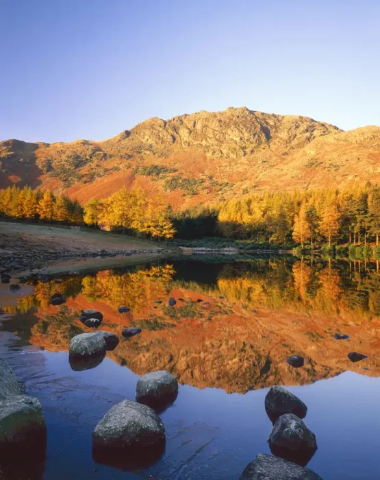 Framed Print : Blea Tarn Reflections, Lake District National Park, Cumbria, England Framed Print : Blea Tarn Reflections, Lake District National Park, Cumbria, England