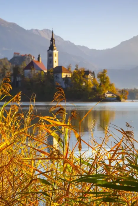 Framed Print : Bled Island (Blejski otok) with the Church of the Assumption (Cerkev Marijinega vnebovzetja) Framed Print : Bled Island (Blejski otok) with the Church of the Assumption (Cerkev Marijinega vnebovzetja)