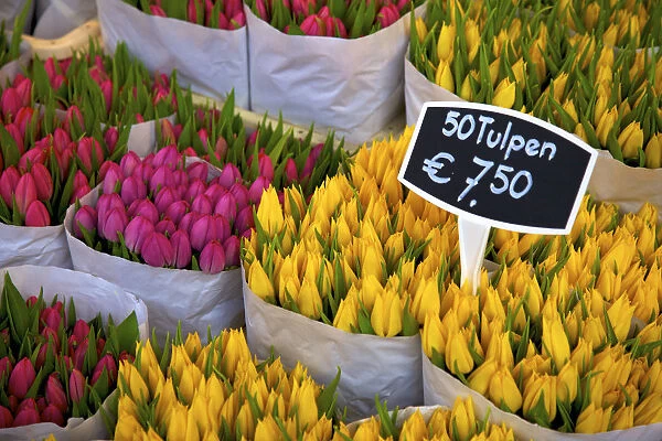 Bloemenmarkt Flower Market, Amsterdam, Netherlands