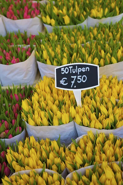 Bloemenmarkt Flower Market, Amsterdam, Netherlands