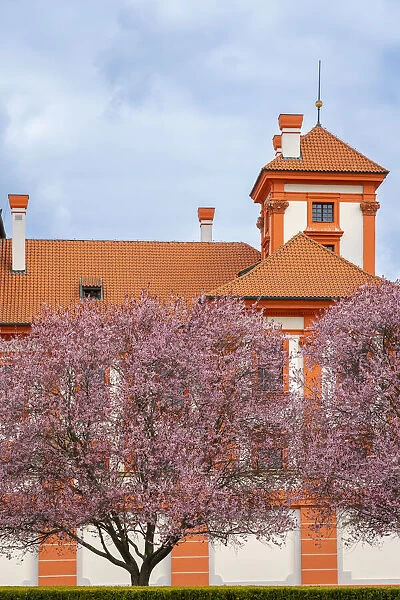 Blooming trees in garden of Troja Chateau in spring, Prague, Bohemia, Czech Republic