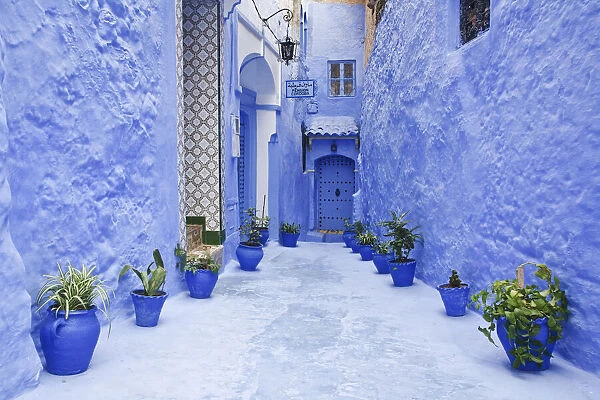 Blue painted alley lined with flower pots leading to doorway, Chefchaouen, Morocco