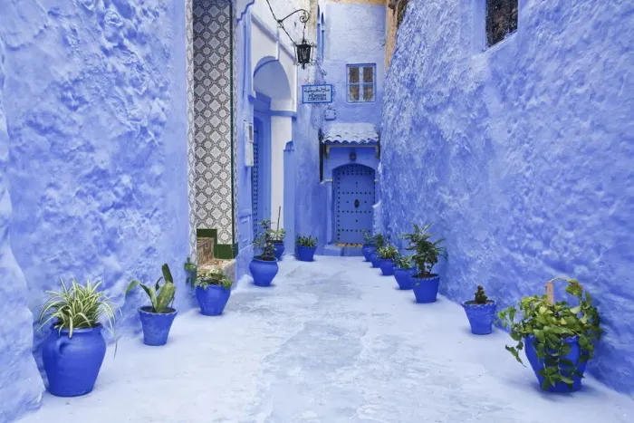 Framed Print : Blue painted alley lined with flower pots leading to doorway, Chefchaouen, Morocco