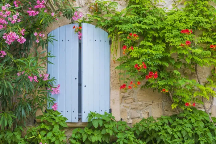 Framed Print : Blue Shutters & Flowers, Venasque, Provence, France Framed Print : Blue Shutters & Flowers, Venasque, Provence, France