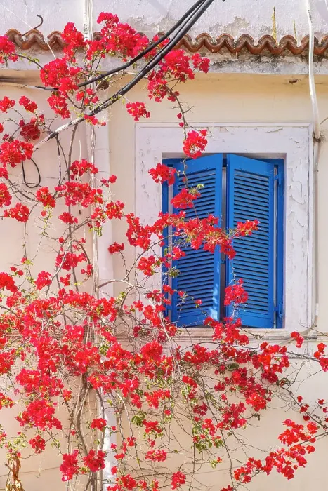 Framed Print : Blue shutters, Poros Island, Saronic Islands, Greece Framed Print : Blue shutters, Poros Island, Saronic Islands, Greece