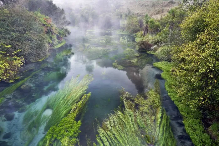 Framed Print : Blue Springs Te Waihou Walkway, Waikato, New Zealand