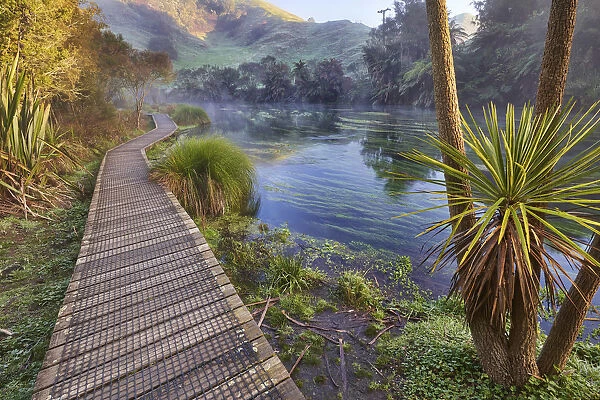 Blue Springs Te Waihou Walkway, Waikato, New Zealand