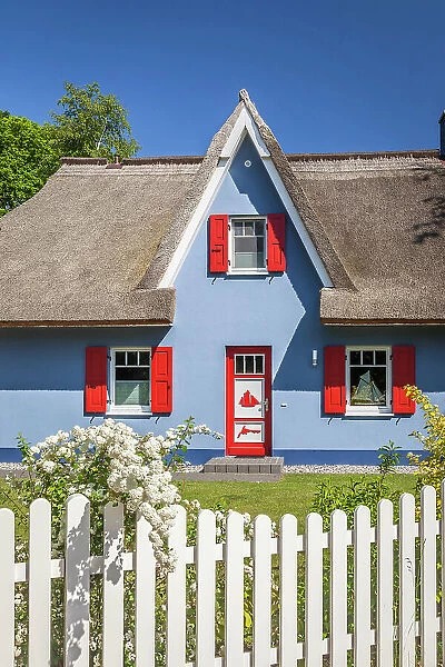 Blue thatched roof house in Born am Darss, Mecklenburg-West Pomerania, Baltic Sea, North Germany, Germany